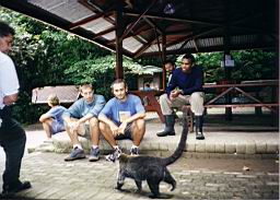 97 bosque Monteverde.jpg